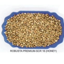 ROBUSTA PREMIUM-SCR 16 (HONEY)