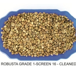 ROBUSTA GRADE 1- SCREEN 16 - CLEANED